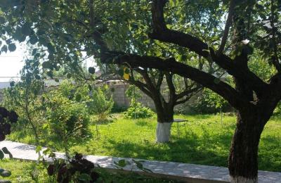 Heyet evi 3